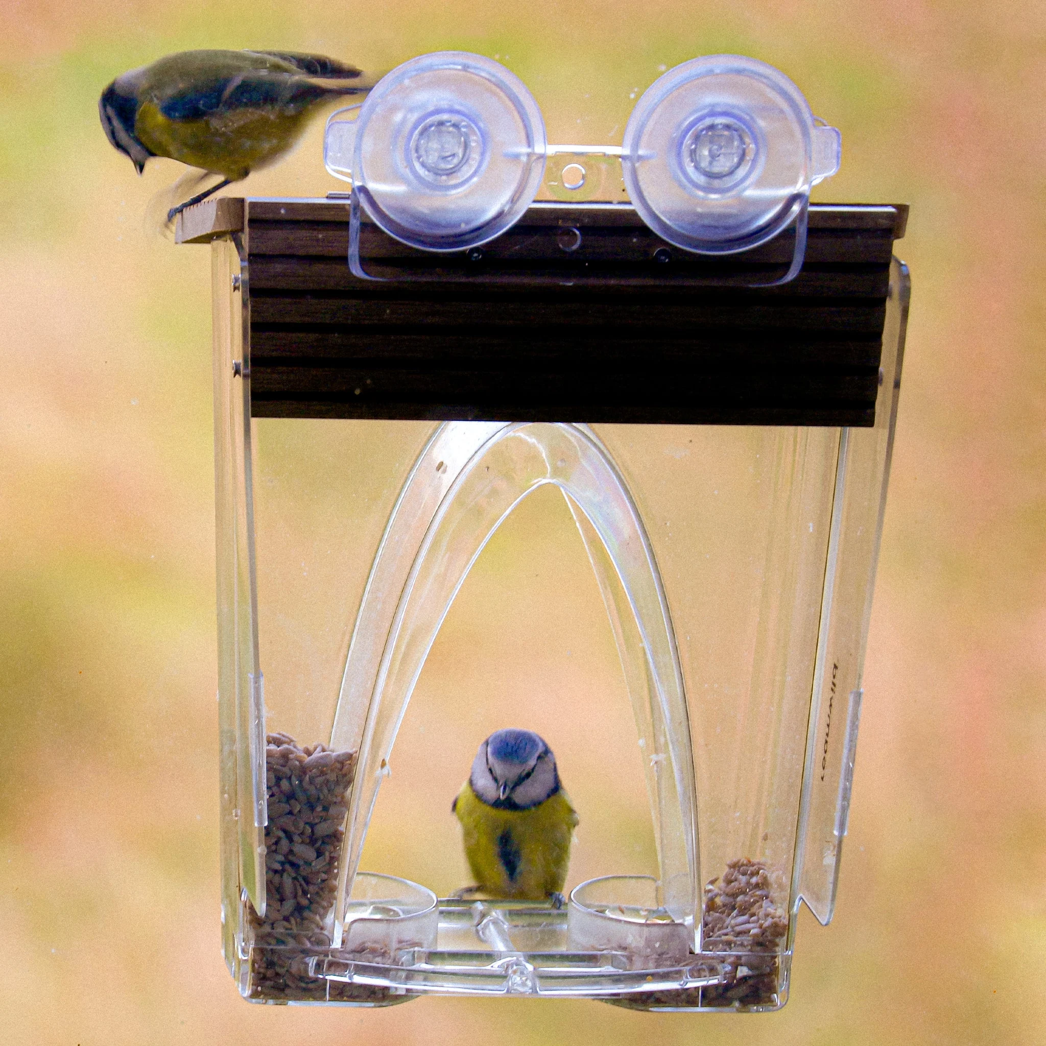 🐦 Limited Time Sale 49% OFF 💝 Arch Window Bird Feeder 🏠