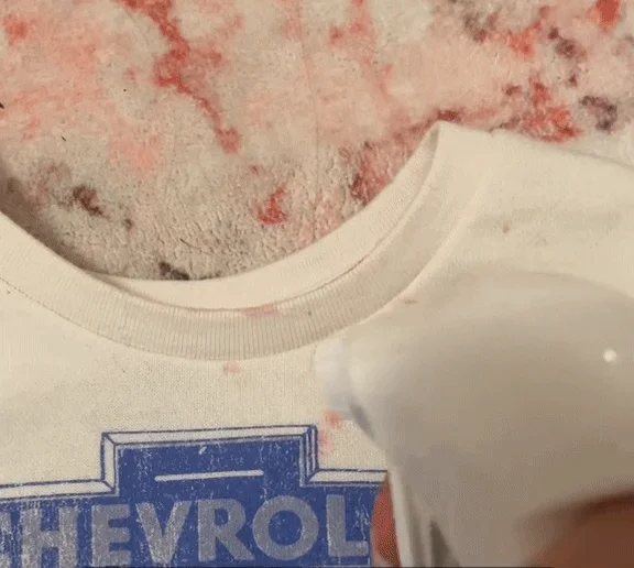 🔥Limited Time Offer🔥Messy Eater Stain Treater Spray-300ml