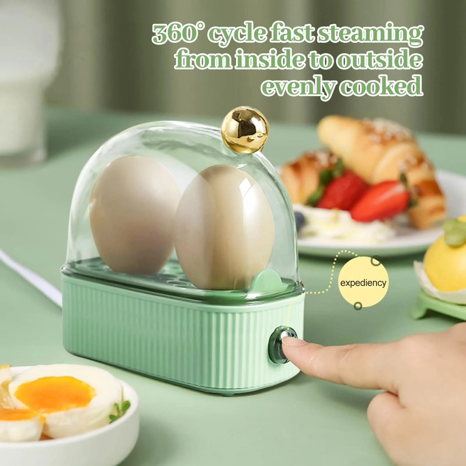 Electric Hard Boiled Egg Maker Steamer