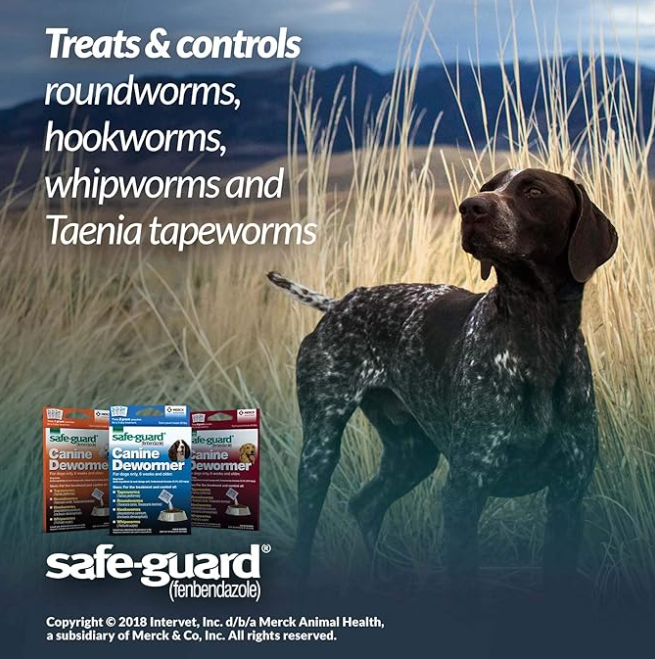 Safe-Guard (fenbendazole) Canine Dewormer for Dogs